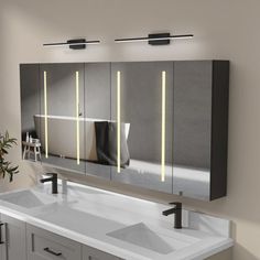 a bathroom vanity with two sinks and mirrors on the wall next to a potted plant