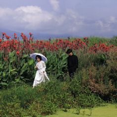 a man and woman walking in the grass with an umbrella over their heads while holding hands