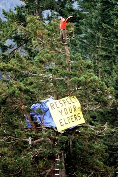 a man standing on top of a tree while holding onto a sign that reads respect your elders