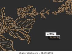 coffee branch with flowers and leaves on black background