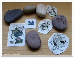 some rocks are sitting on a table with flowers and leaves