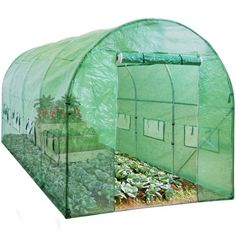 a small green house with plants growing inside