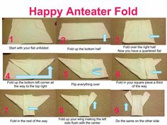 instructions to make an anteater fold