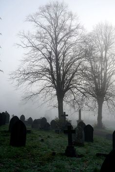 foggy graveyard with trees and headstones in the foreground