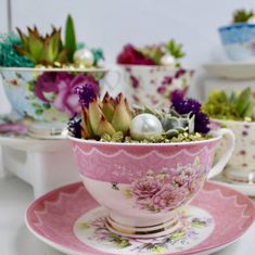 there are many cups and saucers with flowers in them on the table, one is filled with succulents