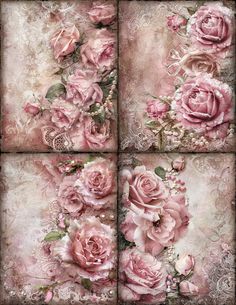 four pink roses are on the wall in front of an old fashioned background with lace