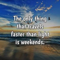 the only thing that travels faster than light is weekends quote on beach with seagulls