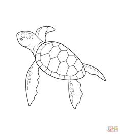 a drawing of a sea turtle