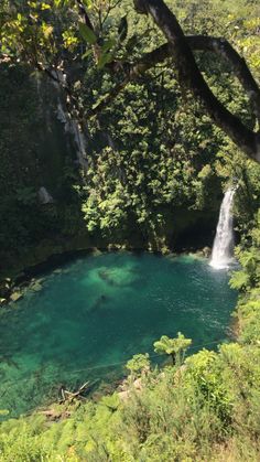 a large body of water surrounded by lush green trees and a waterfall in the distance