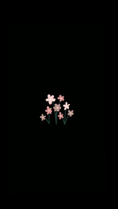 three pink flowers in the dark on a black background