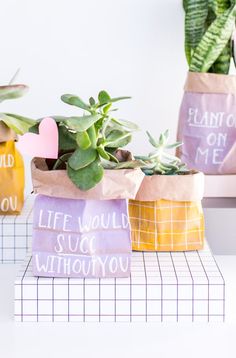 three planters with plants in them sitting on top of a table next to each other