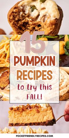 pumpkin pies with text overlay that reads 15 pumpkin recipes to try this fall