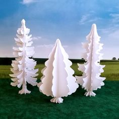 three tall white trees are in the middle of a grassy field with blue skies behind them