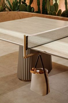 a ping pong table in the middle of a room with potted cacti