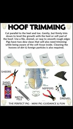 the instructions for how to use hoof trimming scissors, pliers and other tools