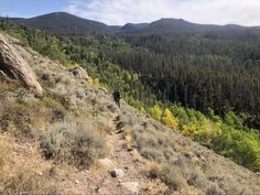 a person walking up a hill on a trail in the mountains with trees and bushes