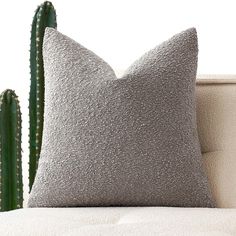 a white couch with two pillows on top of it next to a cacti