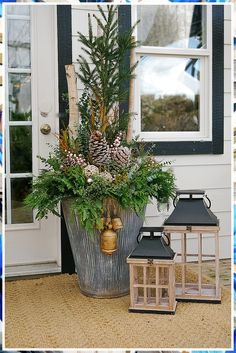 a potted plant with pine cones and other plants in front of a house door