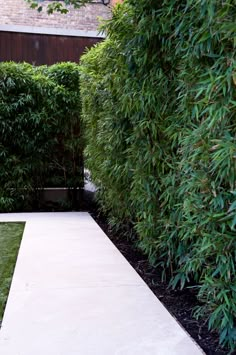 a garden with grass, bushes and a walkway leading to a building in the background