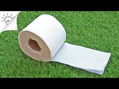 a roll of toilet paper is laying on the grass