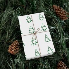 a wrapped present sitting on top of a pine tree