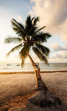 A picture of Renee from Renee Roaming laying on a palm tree in Tulum. Vacation Outfits Cancun, Mexico Vacation Outfits Cancun, Cancun Mexico Aesthetic, Mexico City Aesthetic, Tulum Aesthetic, Aesthetic Mexico