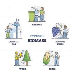 different types of biomass are shown in this graphic style, including trees and people