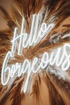 a neon sign that reads hello gorgeous surrounded by feathers