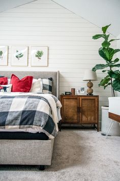 a bed room with a neatly made bed and a plant