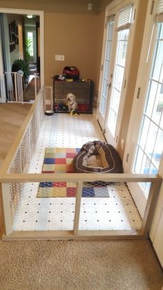 a dog is laying on the floor in front of an open door and looking out