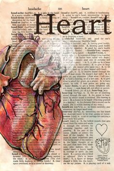 an old book page with a drawing of a human heart