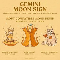 an advertisement for the moon sign with three cats