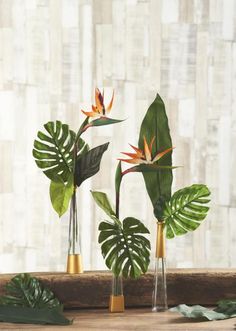 three vases with plants in them sitting on a table