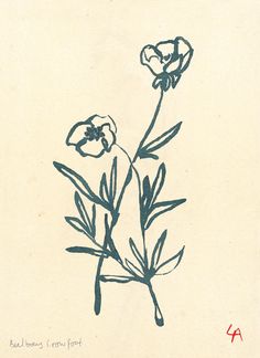 a drawing of some flowers on a piece of paper