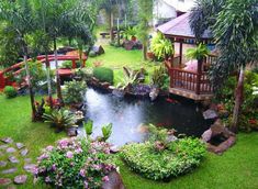 a small pond surrounded by lush green plants