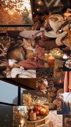 a collage of pictures with cats and pumpkins in the fall, autumn or winter