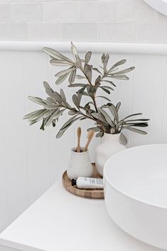 a potted plant sitting on top of a white counter next to a bathroom sink