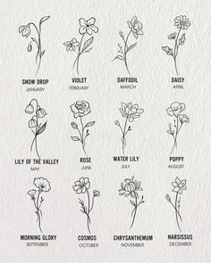 the different types of flowers are shown in black and white, with each flower's name