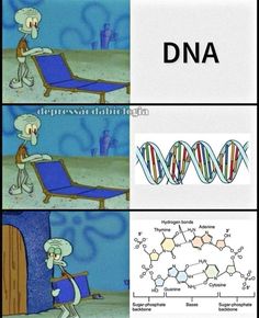 Chemistry Humor