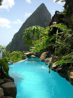 an outdoor swimming pool surrounded by greenery and mountain range in the background with blue water