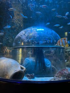 an aquarium filled with lots of different types of fish and people looking at the tank