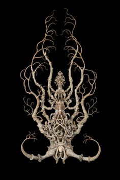 an intricately designed sculpture is shown against a black background, with white branches in the center