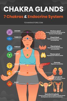 Chakra Locations, Yoga Positionen, Chakra Chart, Manipura Chakra, Chakra Healing Meditation, Yoga Kundalini, Energetic Body