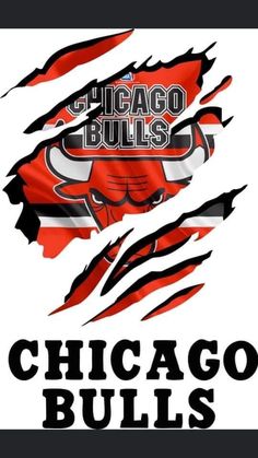 Chicago Bulls Wallpapers, Chicago Bulls Art, Logo Chicago Bulls, Michael Jordan Art, Chicago Bulls Logo, Jordan Logo Wallpaper, Bulls Logo, Graffiti Text