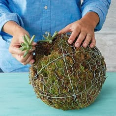 a person holding a wire ball with plants growing out of it