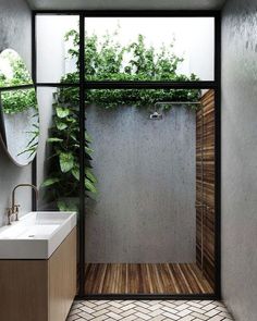 a bathroom with a shower, sink and plants on the wall in it's corner