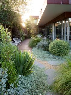 an outdoor area with grass, bushes and benches