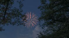 fireworks are lit up in the night sky above some trees and bushes with leaves on them