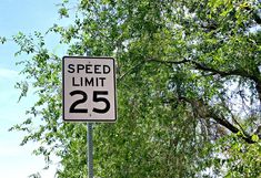 a speed limit sign is shown in front of some trees