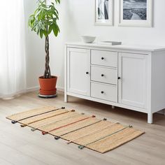 the rug is on the floor in front of the white cabinet and potted plant